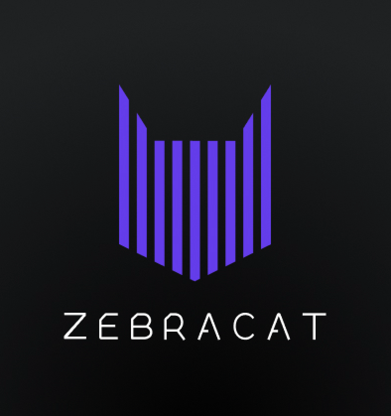 Zebracat 2.0